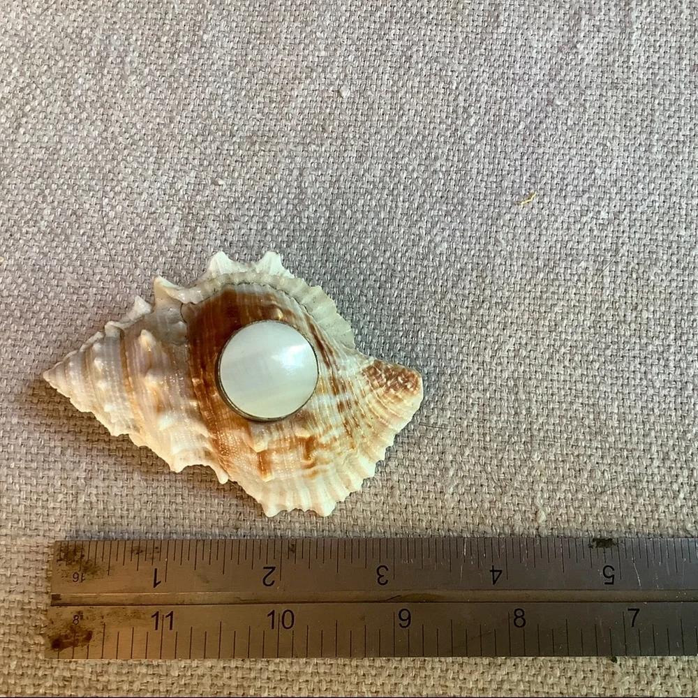 Shell Calligraphy Inkwell - Picture 4 of 4